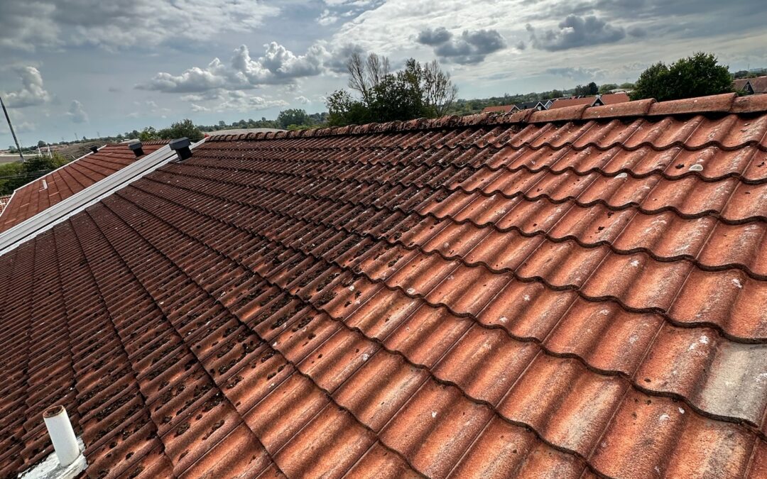 Tak før og etter takvask i Kristiansand med mose