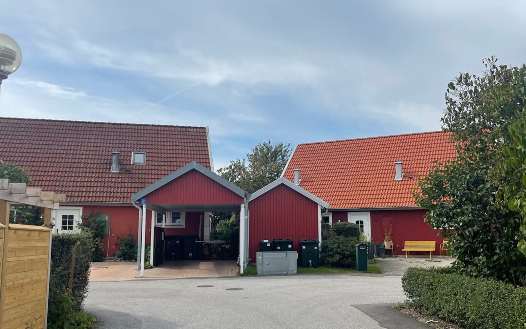 Takvask sammenligning i Kristiansand med mose